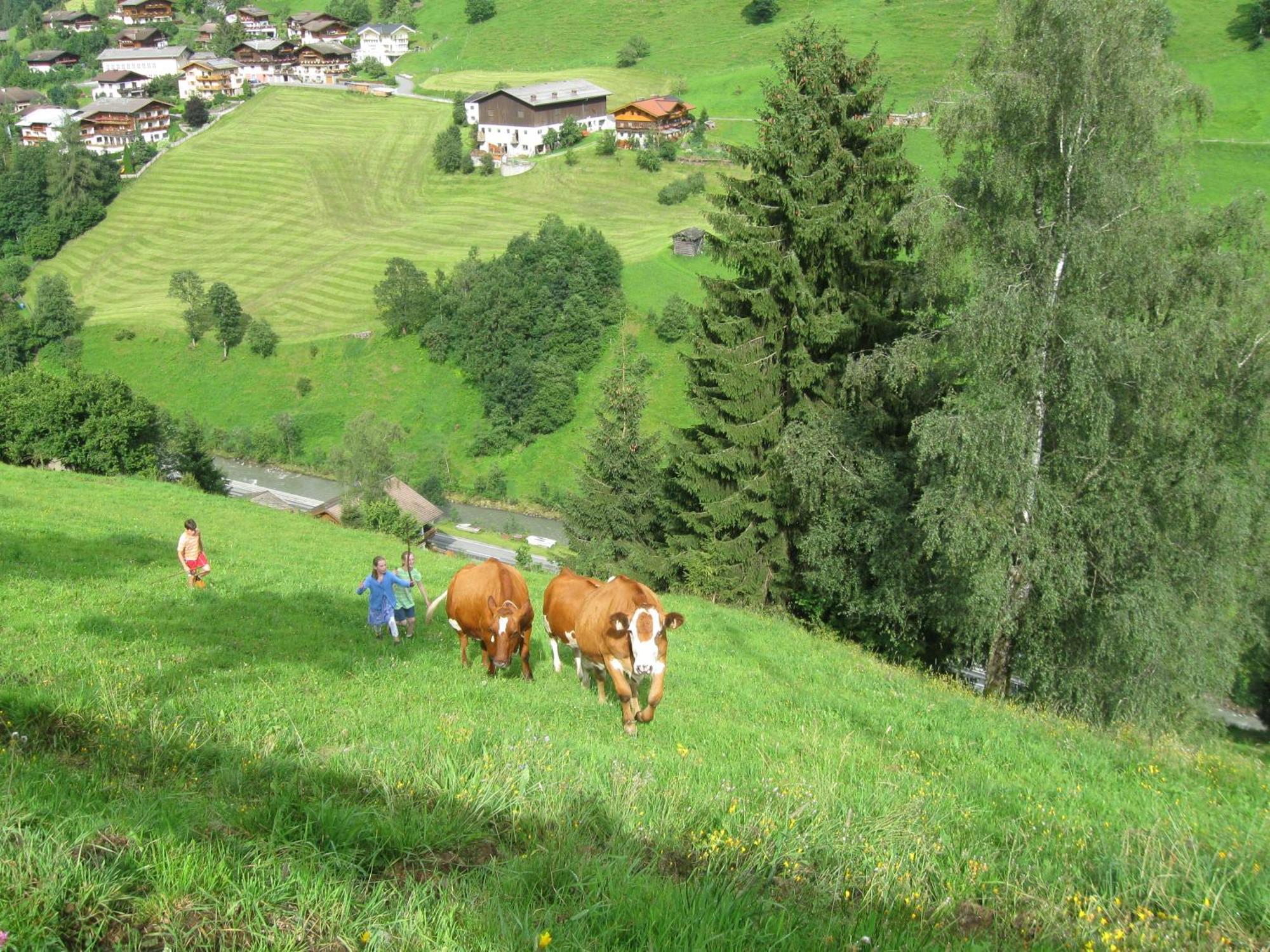 Schaidreithof Grossarl Exterior foto
